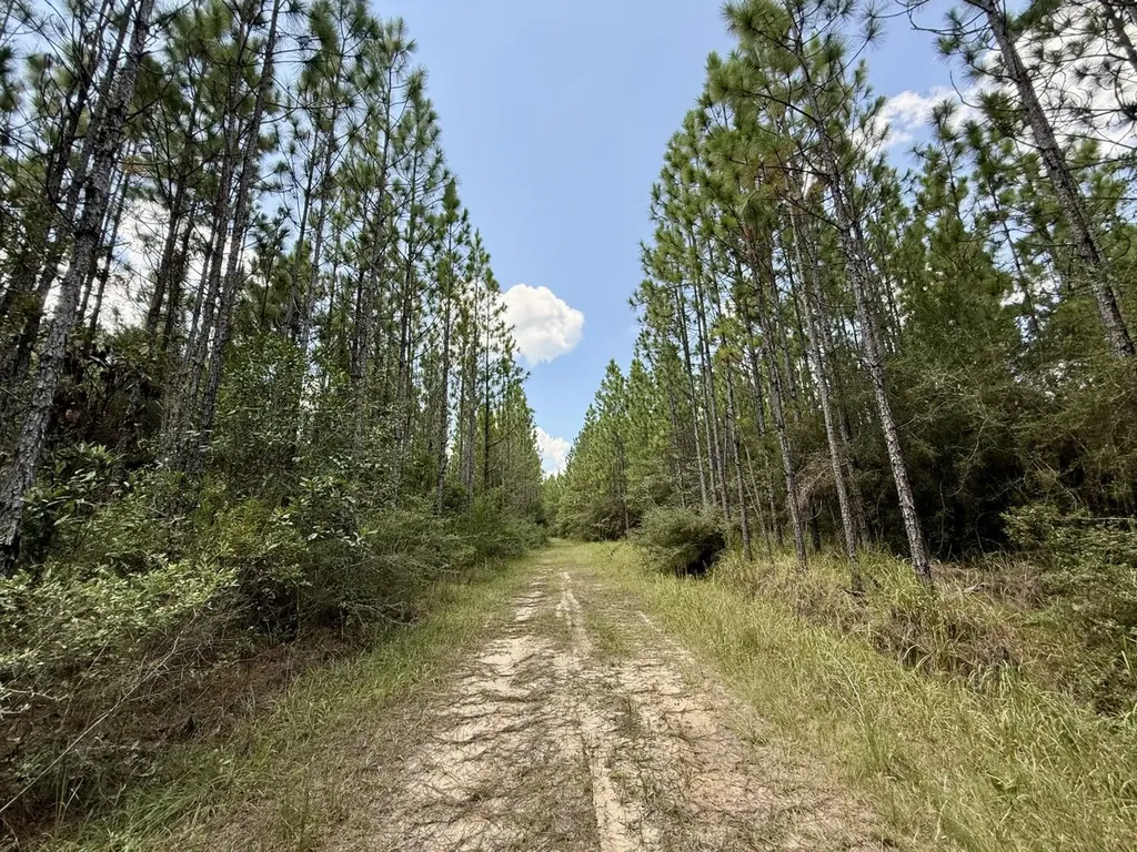 0 Ernest Everett Road Vinegar Bend AL 36584