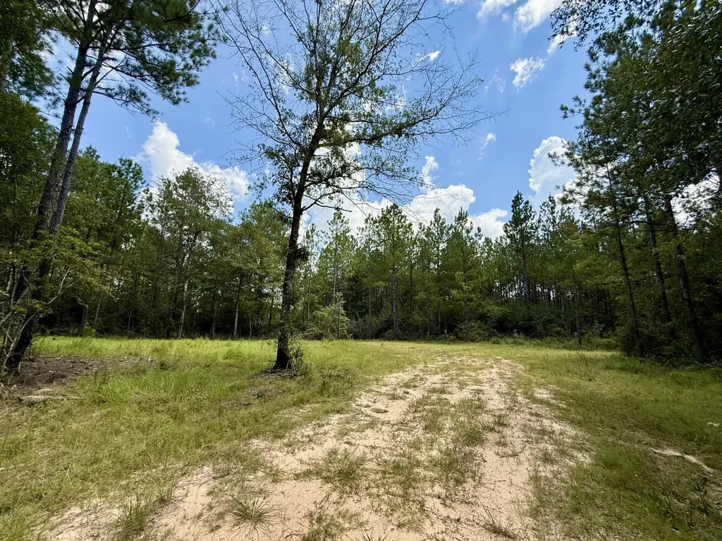 0 Ernest Everett Road Vinegar Bend AL 36584