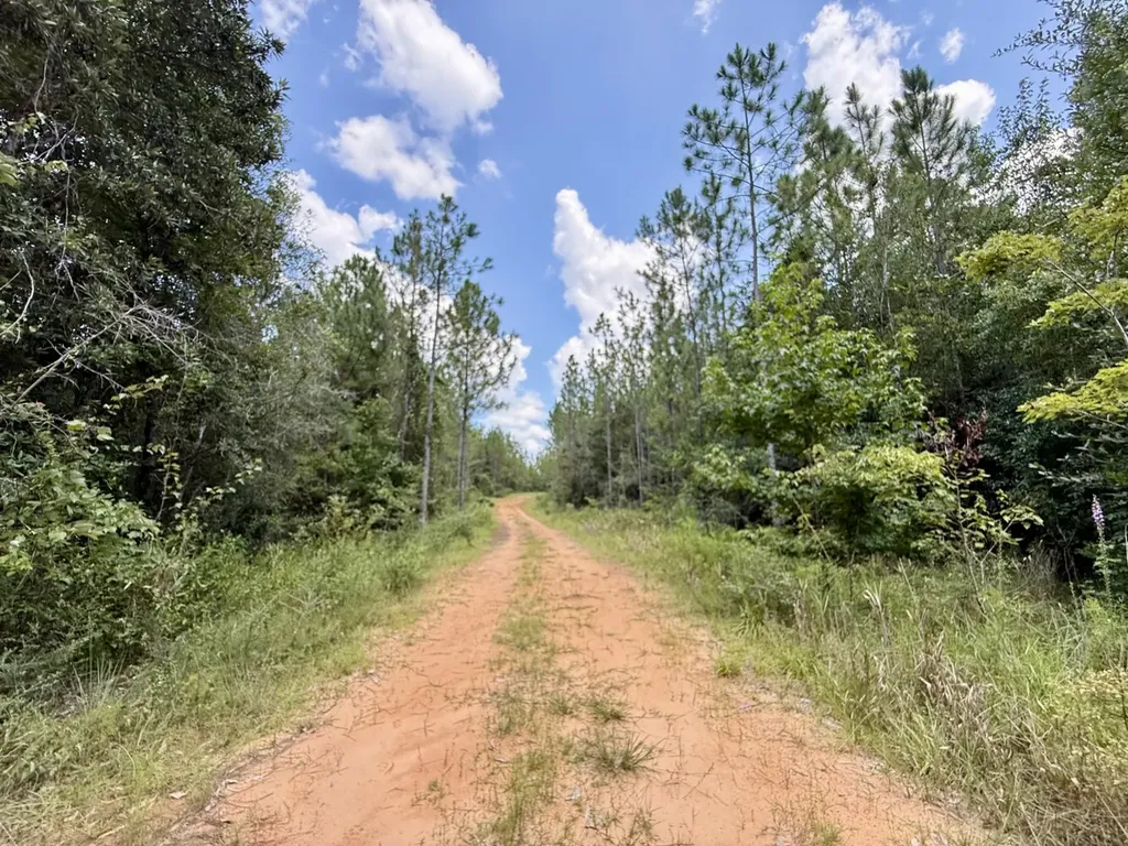 0 Ernest Everett Road Vinegar Bend AL 36584