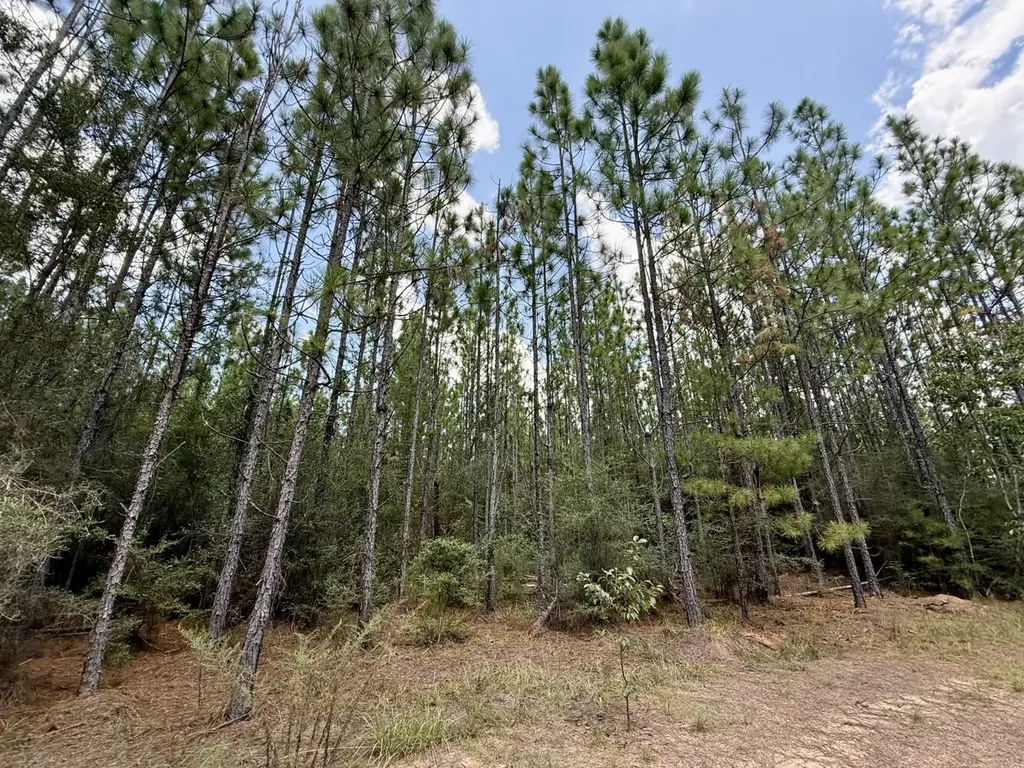 0 Ernest Everett Road Vinegar Bend AL 36584