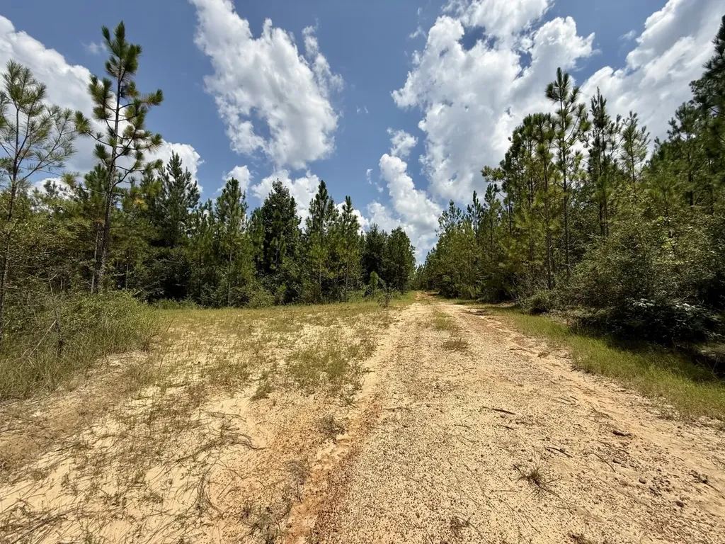 0 Ernest Everett Road Vinegar Bend AL 36584