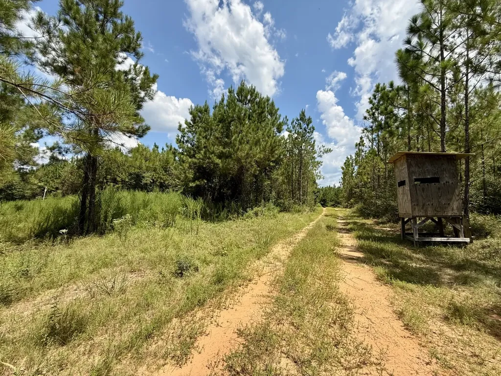 0 Ernest Everett Road Vinegar Bend AL 36584