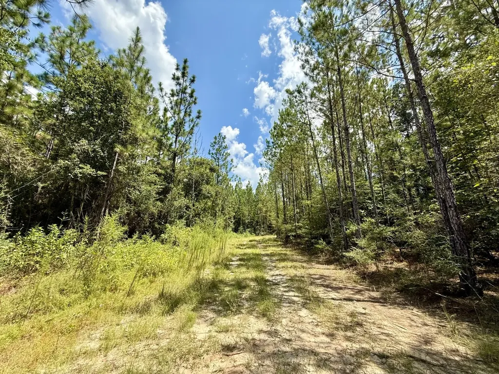 0 Ernest Everett Road Vinegar Bend AL 36584