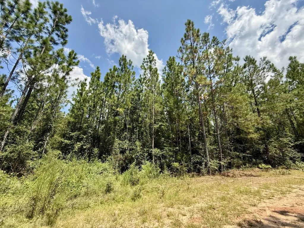 0 Ernest Everett Road Vinegar Bend AL 36584