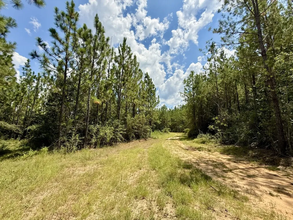 0 Ernest Everett Road Vinegar Bend AL 36584