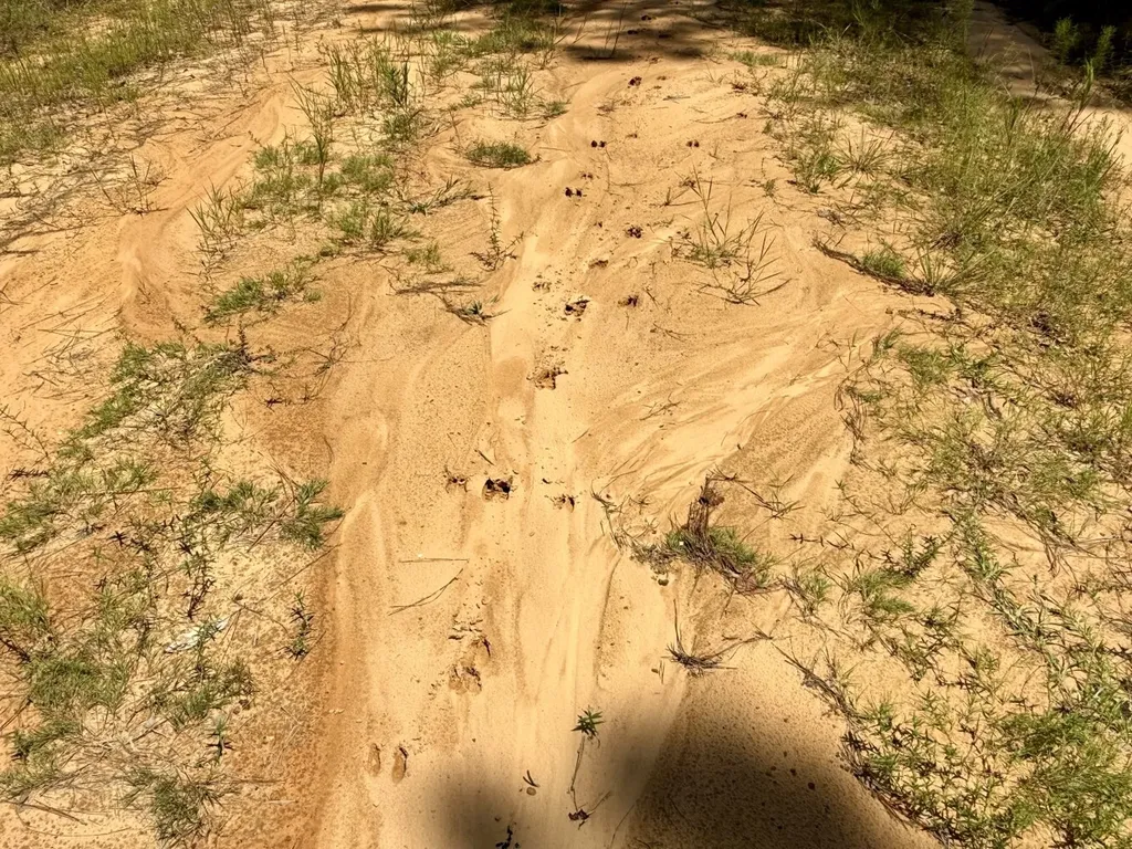 0 Ernest Everett Road Vinegar Bend AL 36584