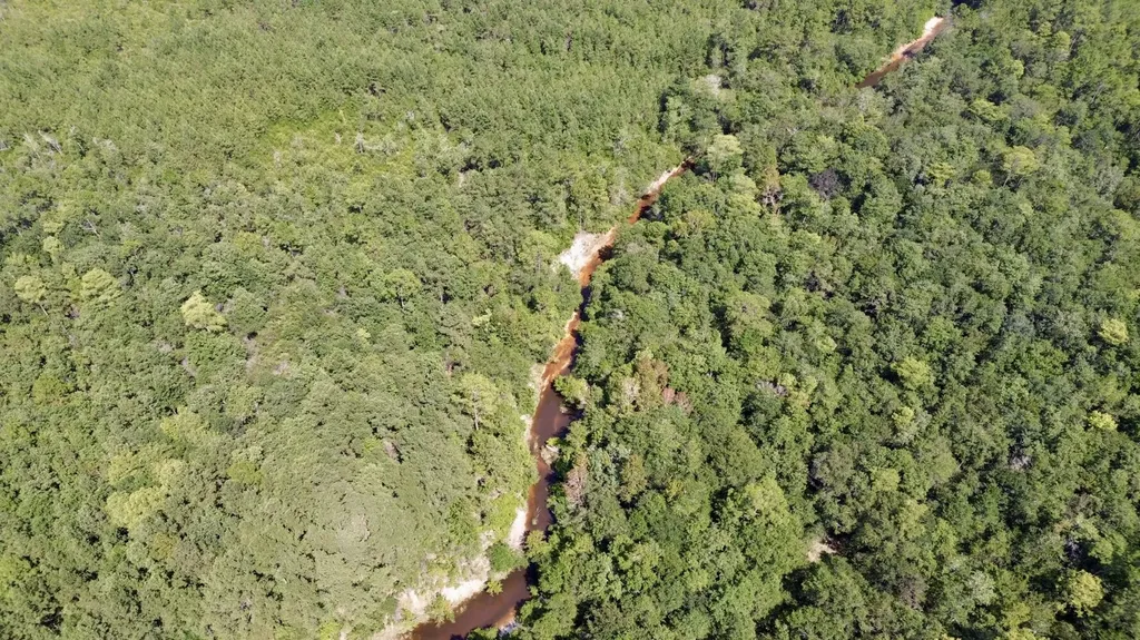 0 Ernest Everett Road Vinegar Bend AL 36584