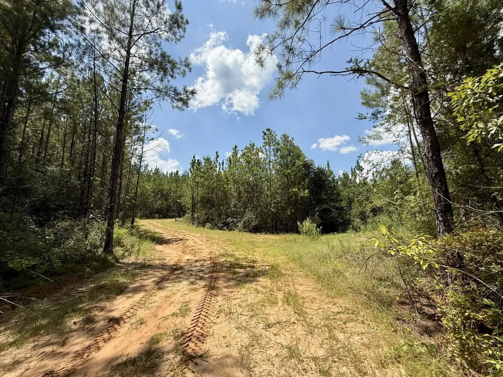 0 Ernest Everett Road Vinegar Bend AL 36584