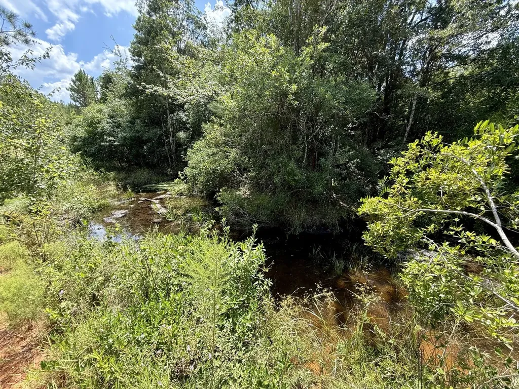 0 Ernest Everett Road Vinegar Bend AL 36584