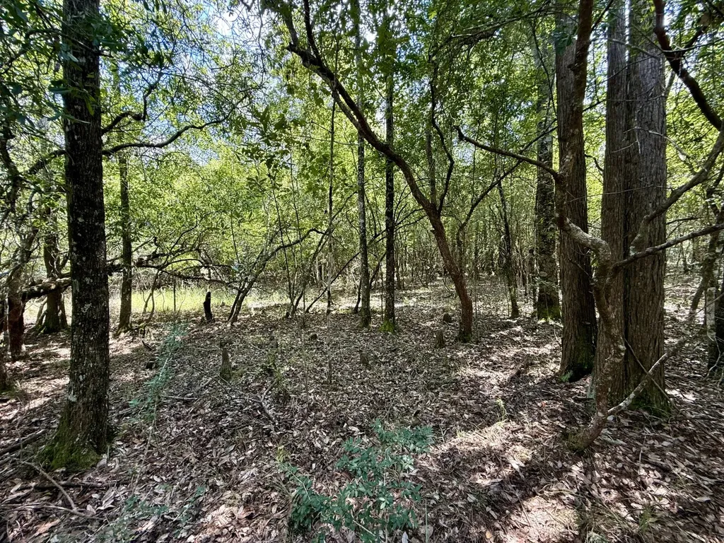 0 Ernest Everett Road Vinegar Bend AL 36584