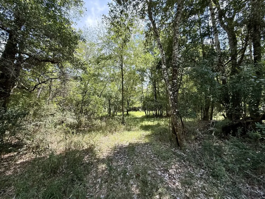 0 Ernest Everett Road Vinegar Bend AL 36584