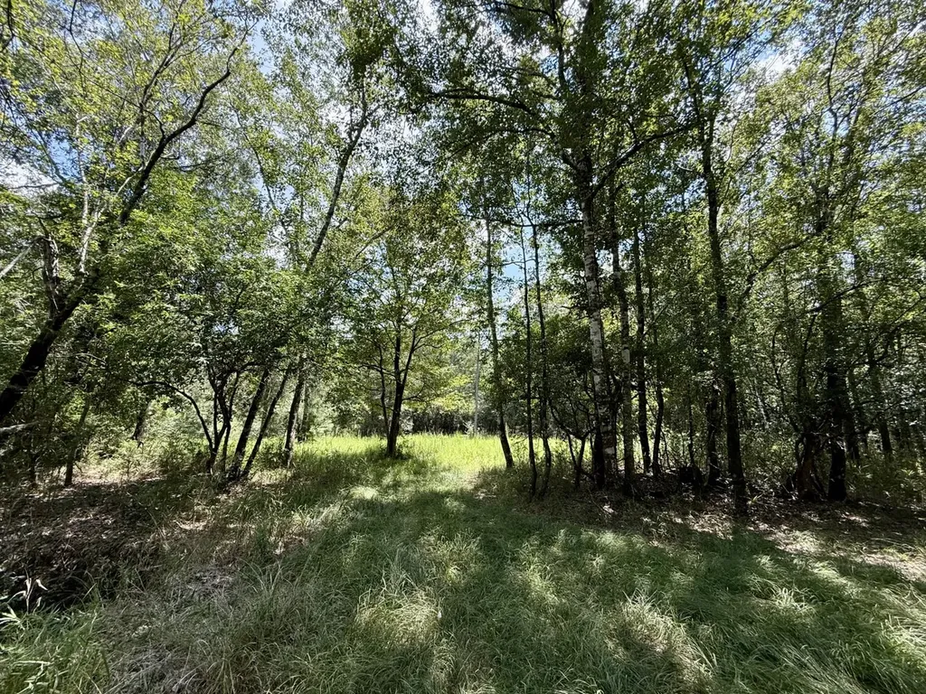 0 Ernest Everett Road Vinegar Bend AL 36584