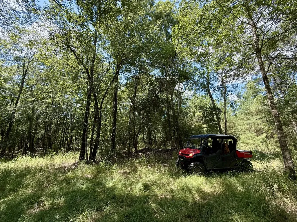 0 Ernest Everett Road Vinegar Bend AL 36584