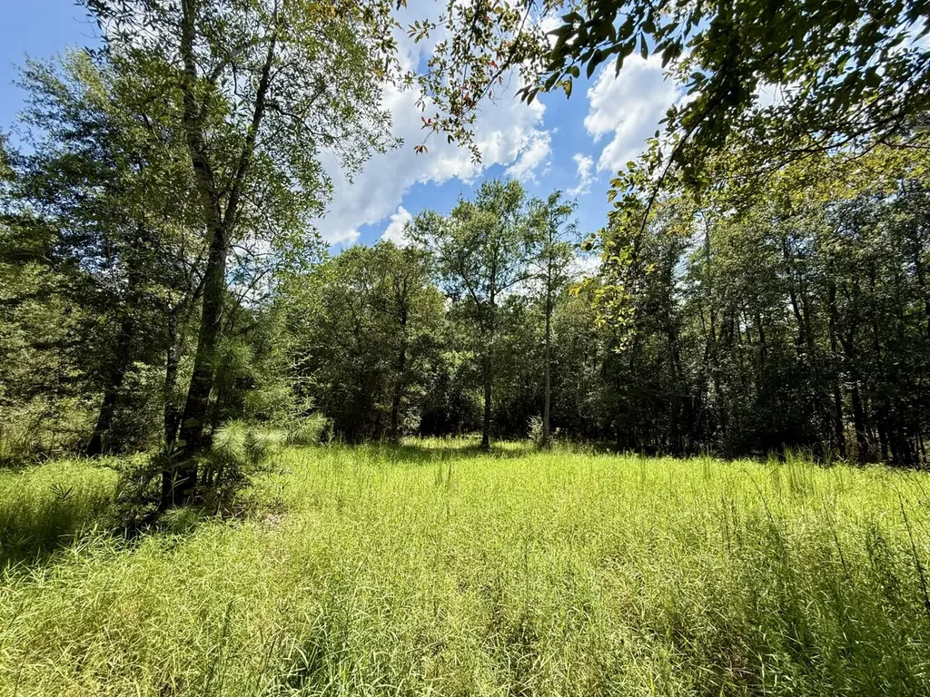 0 Ernest Everett Road Vinegar Bend AL 36584