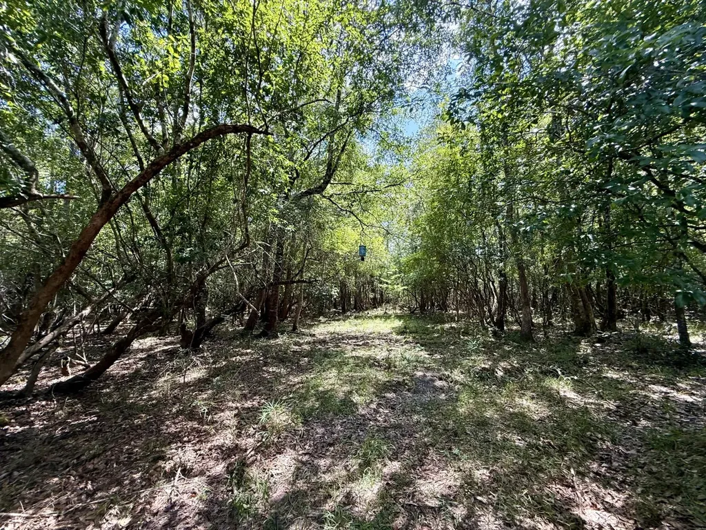 0 Ernest Everett Road Vinegar Bend AL 36584