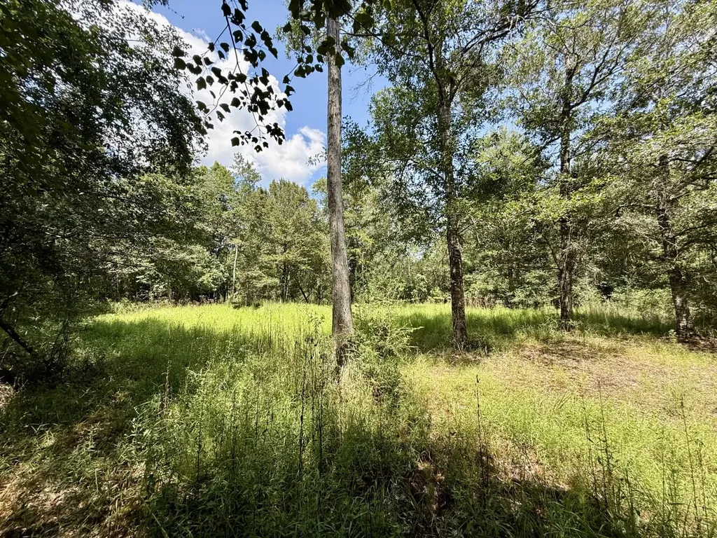 0 Ernest Everett Road Vinegar Bend AL 36584