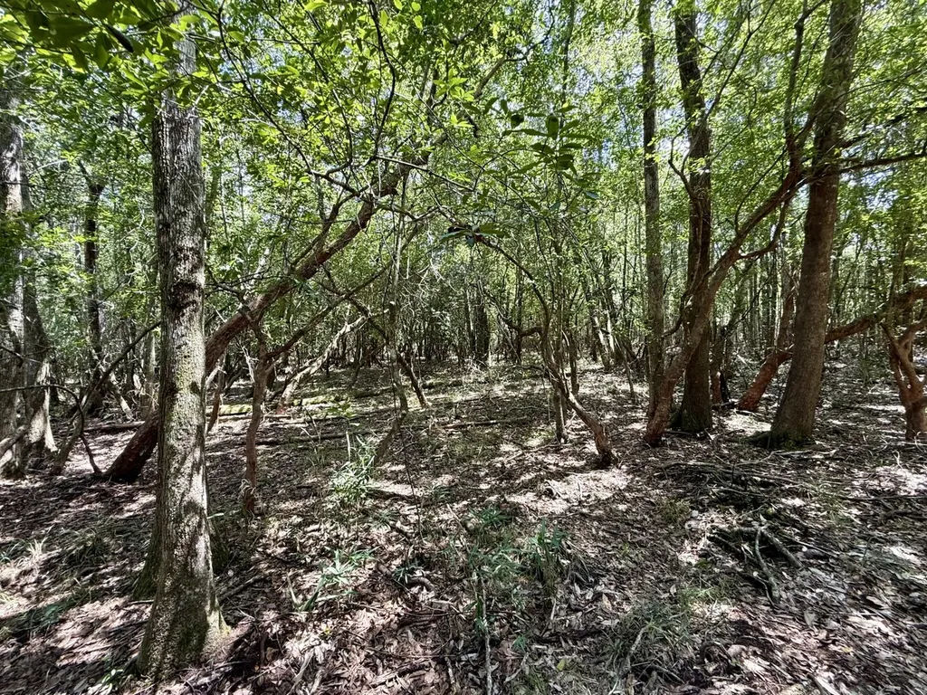 0 Ernest Everett Road Vinegar Bend AL 36584