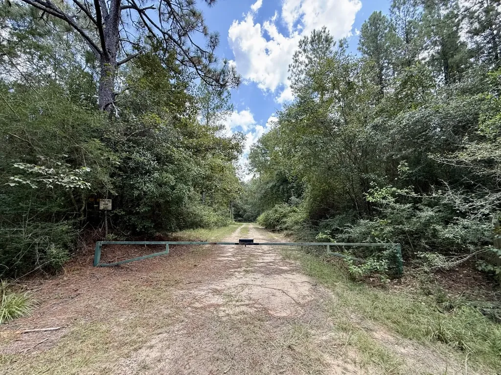 0 Ernest Everett Road Vinegar Bend AL 36584