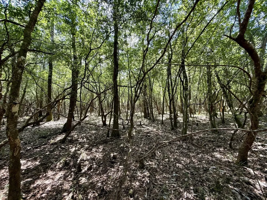 0 Ernest Everett Road Vinegar Bend AL 36584