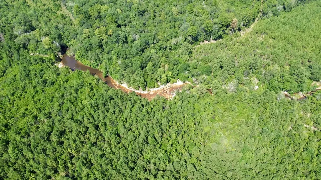 0 Ernest Everett Road Vinegar Bend AL 36584