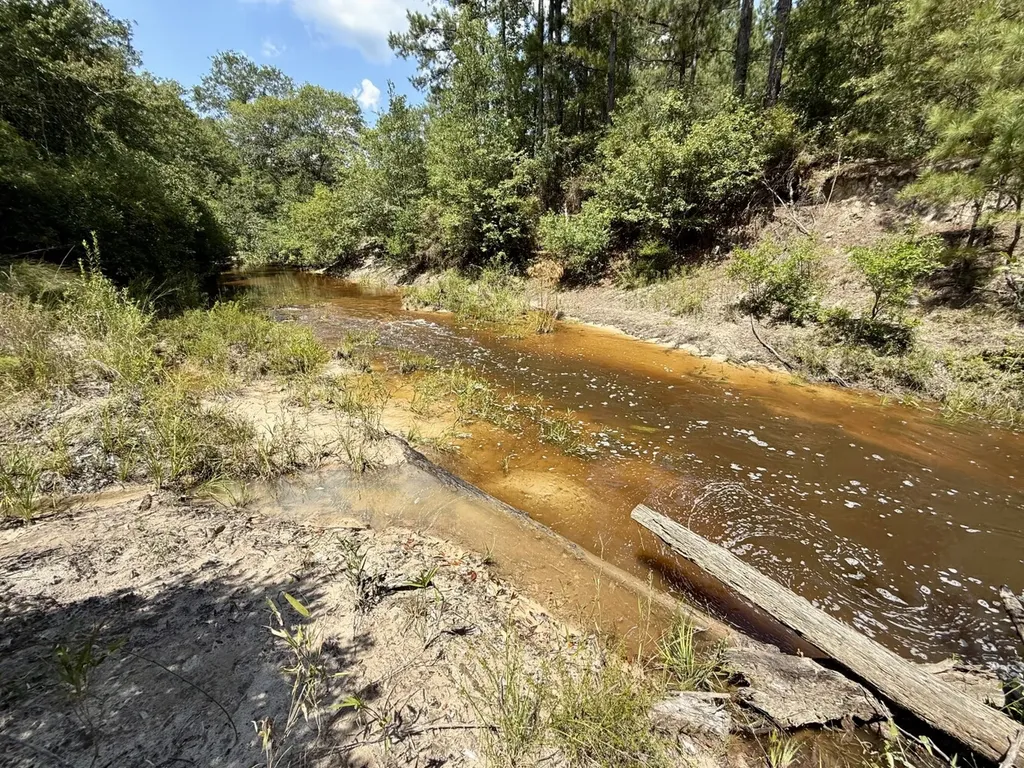 0 Ernest Everett Road Vinegar Bend AL 36584