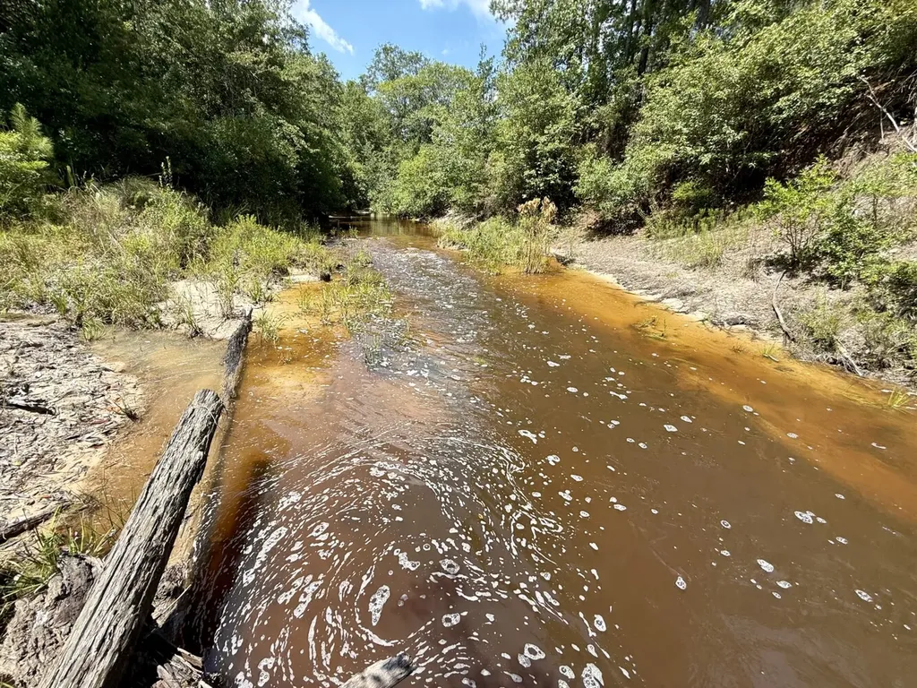 0 Ernest Everett Road Vinegar Bend AL 36584