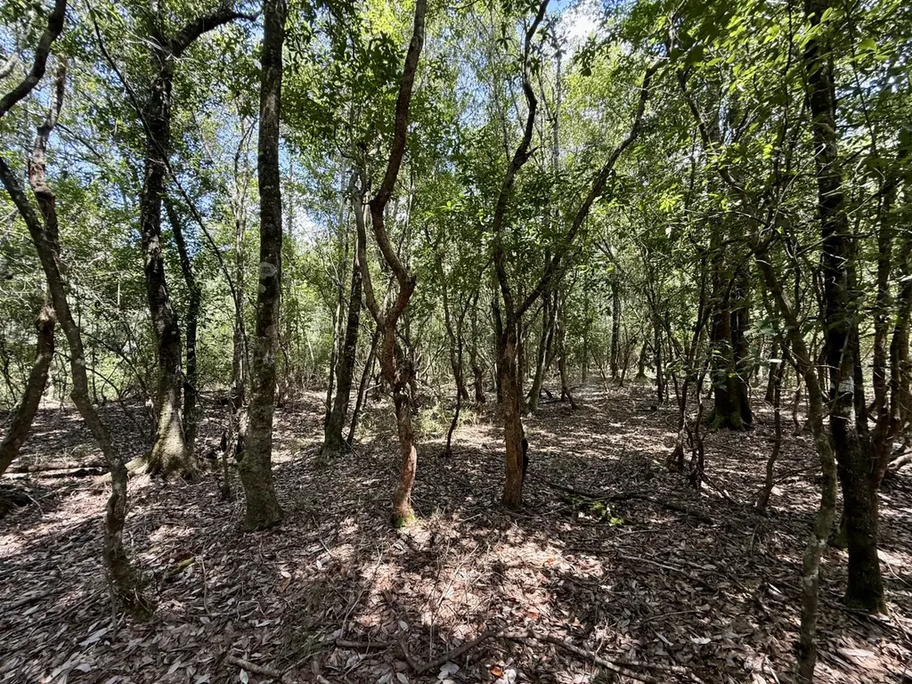 0 Ernest Everett Road Vinegar Bend AL 36584