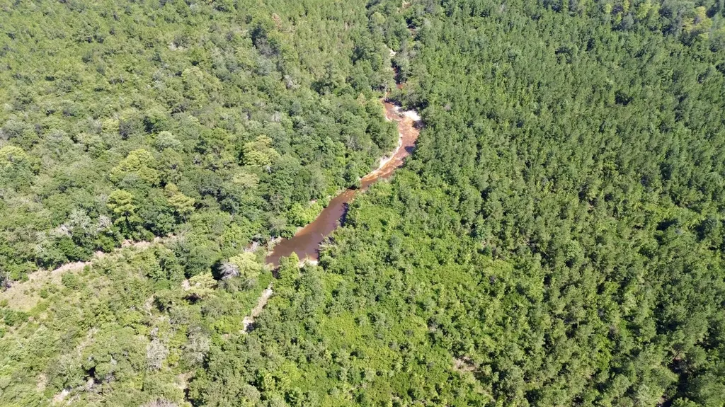 0 Ernest Everett Road Vinegar Bend AL 36584