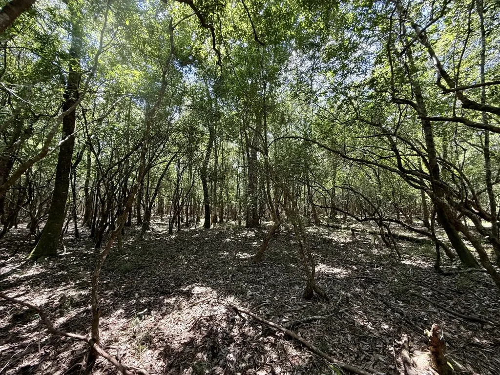 0 Ernest Everett Road Vinegar Bend AL 36584