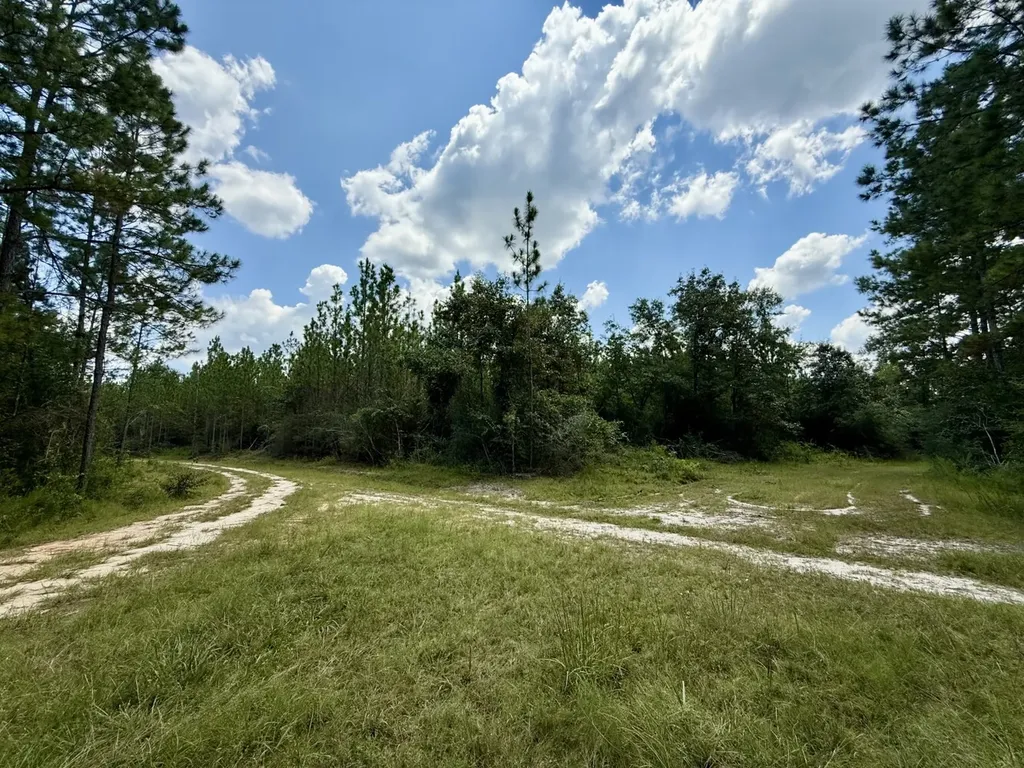 0 Ernest Everett Road Vinegar Bend AL 36584