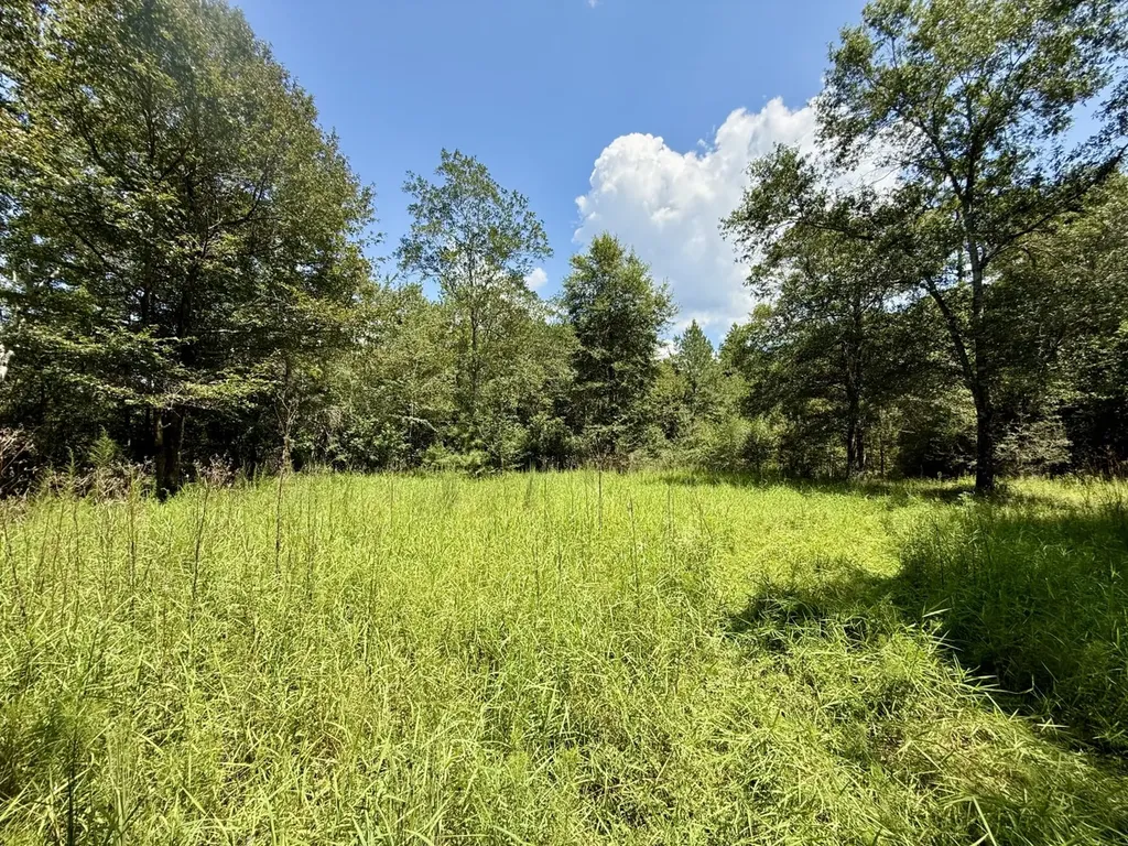 0 Ernest Everett Road Vinegar Bend AL 36584