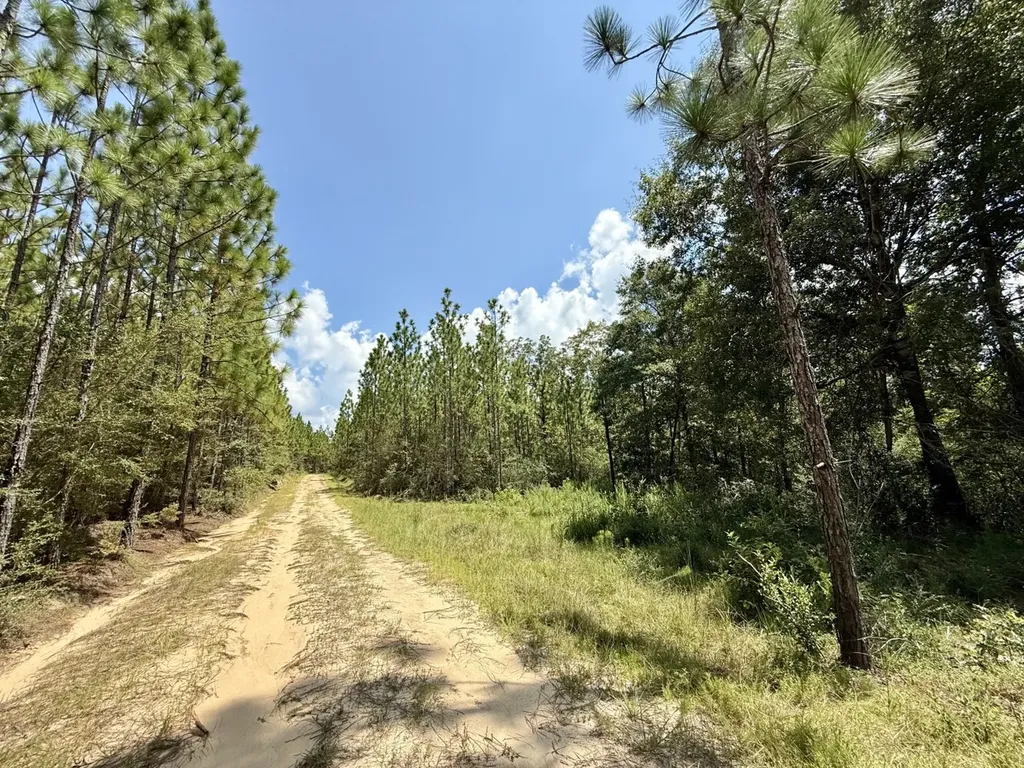 0 Ernest Everett Road Vinegar Bend AL 36584