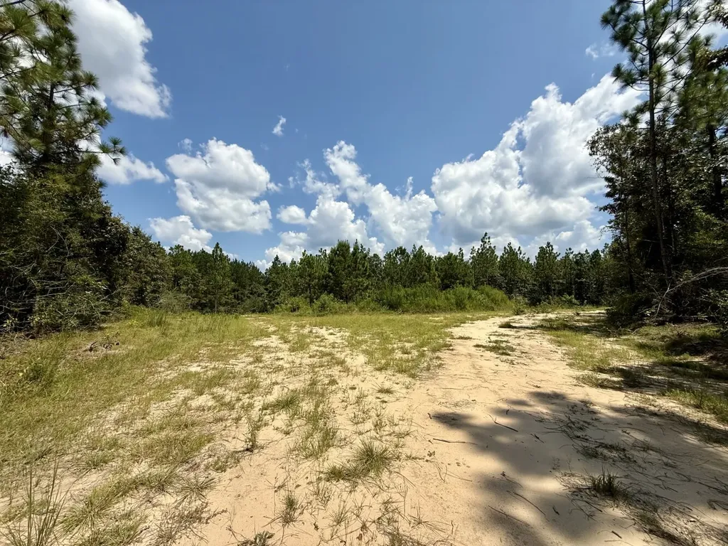 0 Ernest Everett Road Vinegar Bend AL 36584