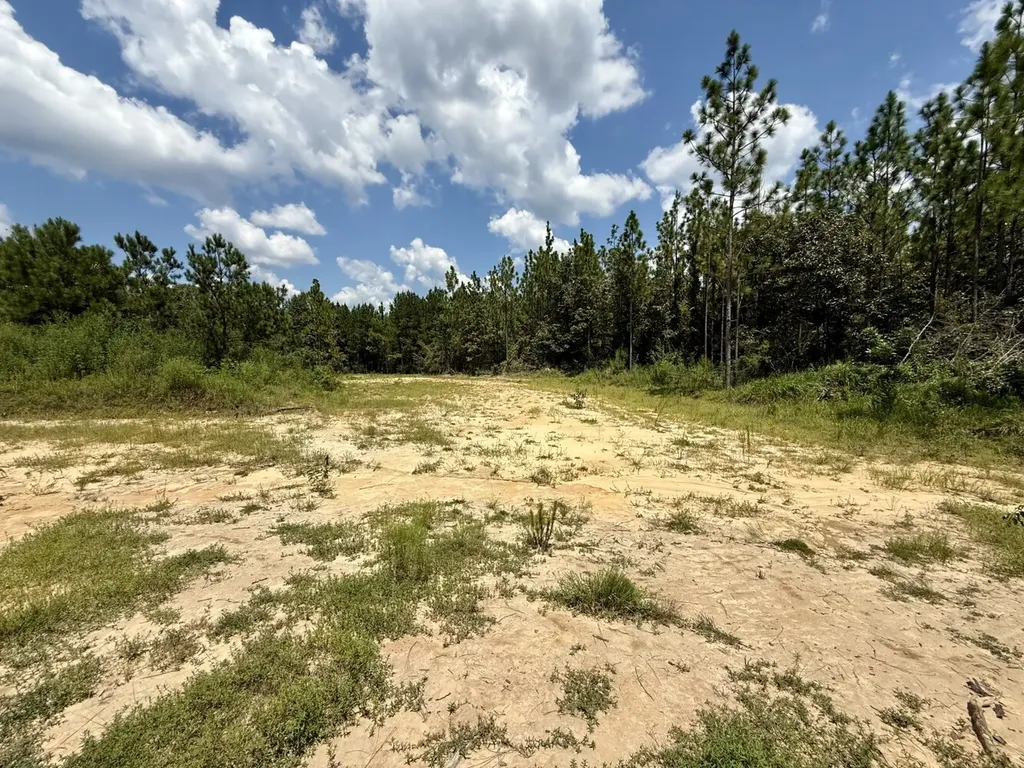 0 Ernest Everett Road Vinegar Bend AL 36584