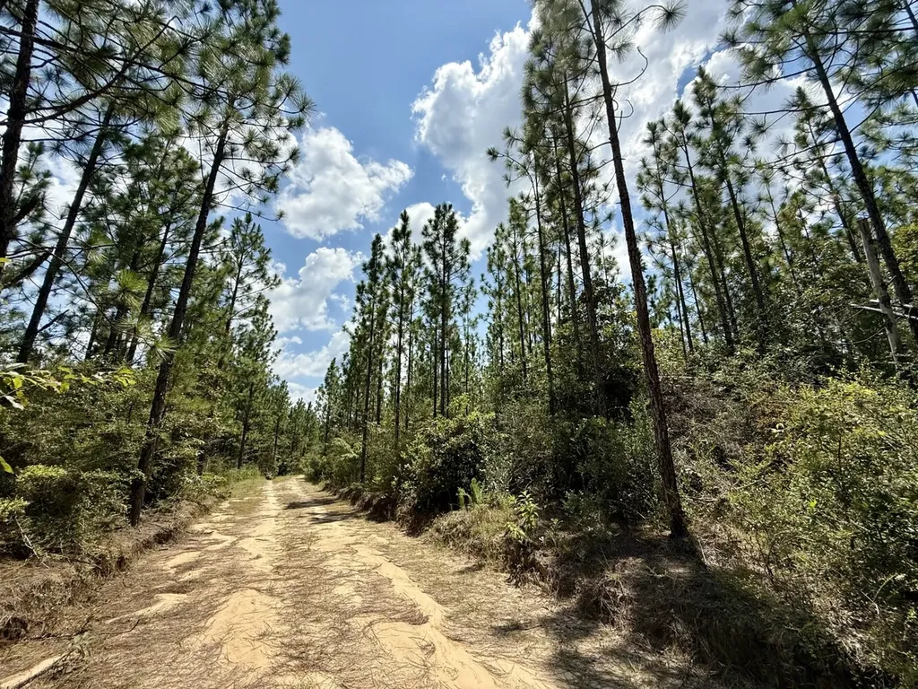 0 Ernest Everett Road Vinegar Bend AL 36584