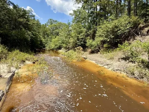 0 Ernest Everett Road Vinegar Bend AL 36584