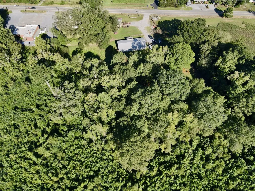 39696 Highway 25 Harpersville AL 35078