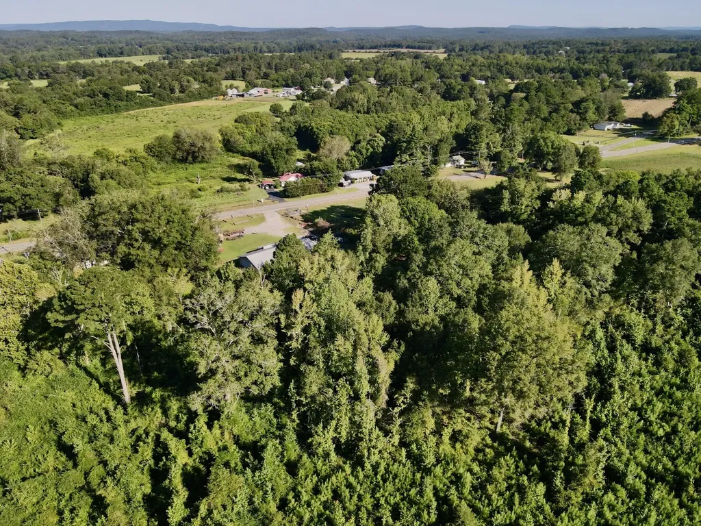 39696 Highway 25 Harpersville AL 35078