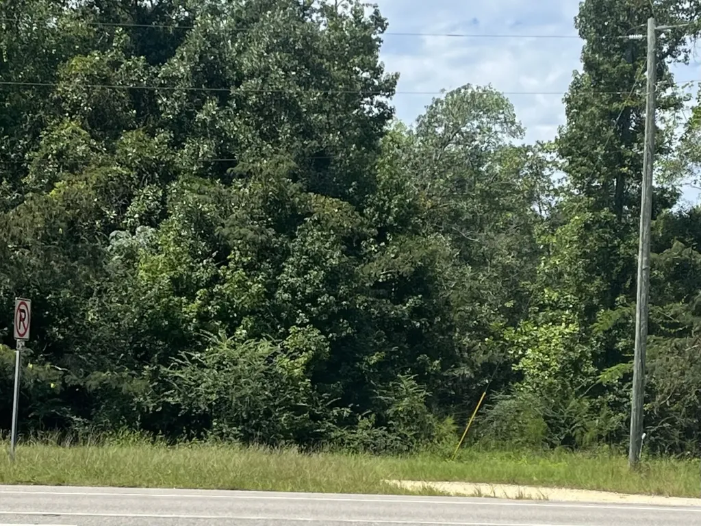 1 N Highway 167 New Brockton AL 36351