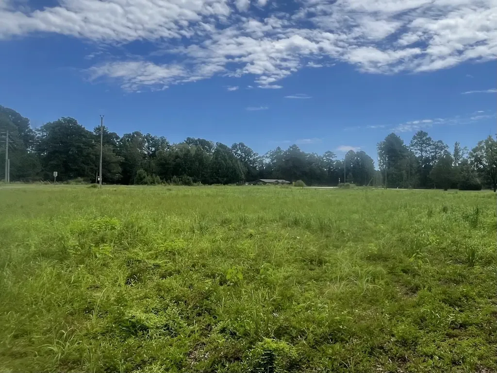 1 N Highway 167 New Brockton AL 36351