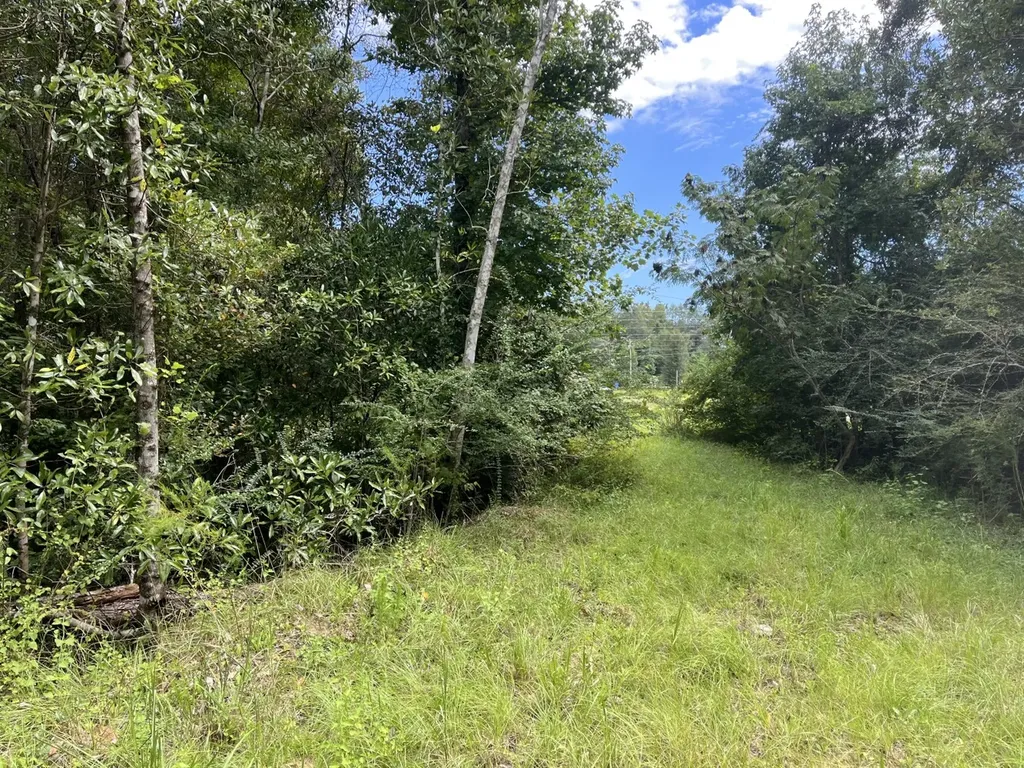 1 N Highway 167 New Brockton AL 36351