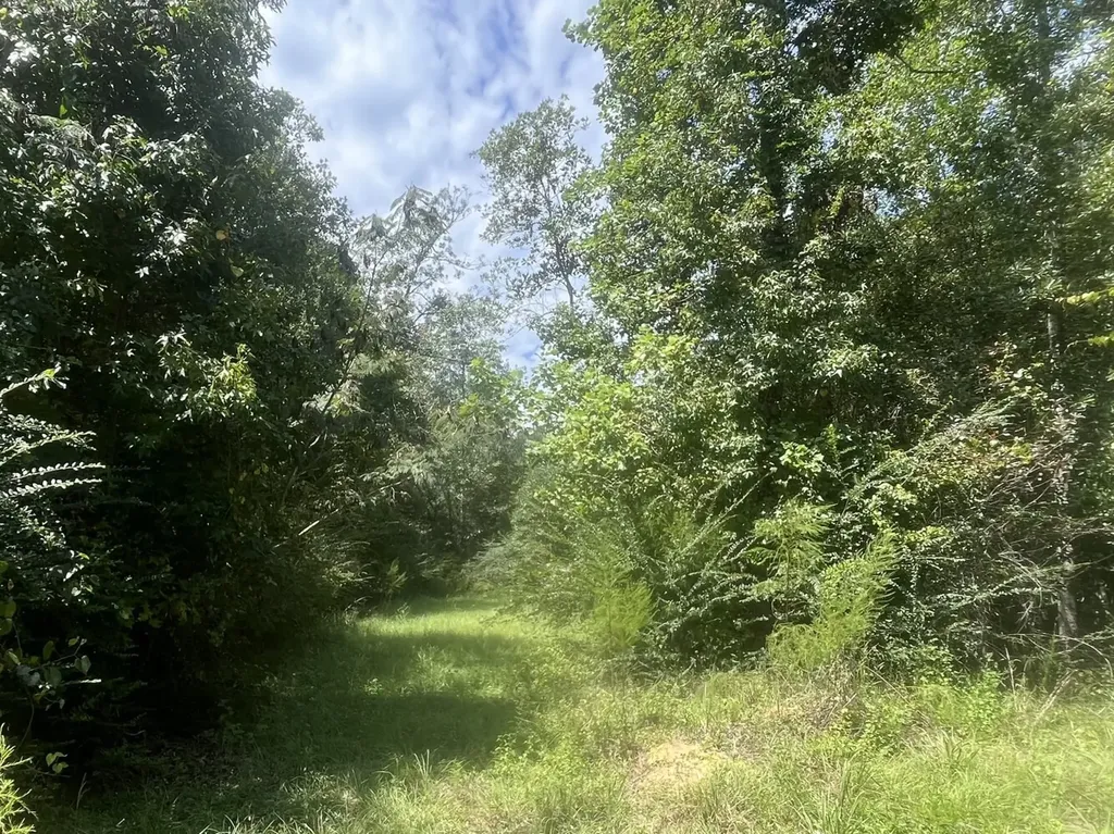 1 N Highway 167 New Brockton AL 36351