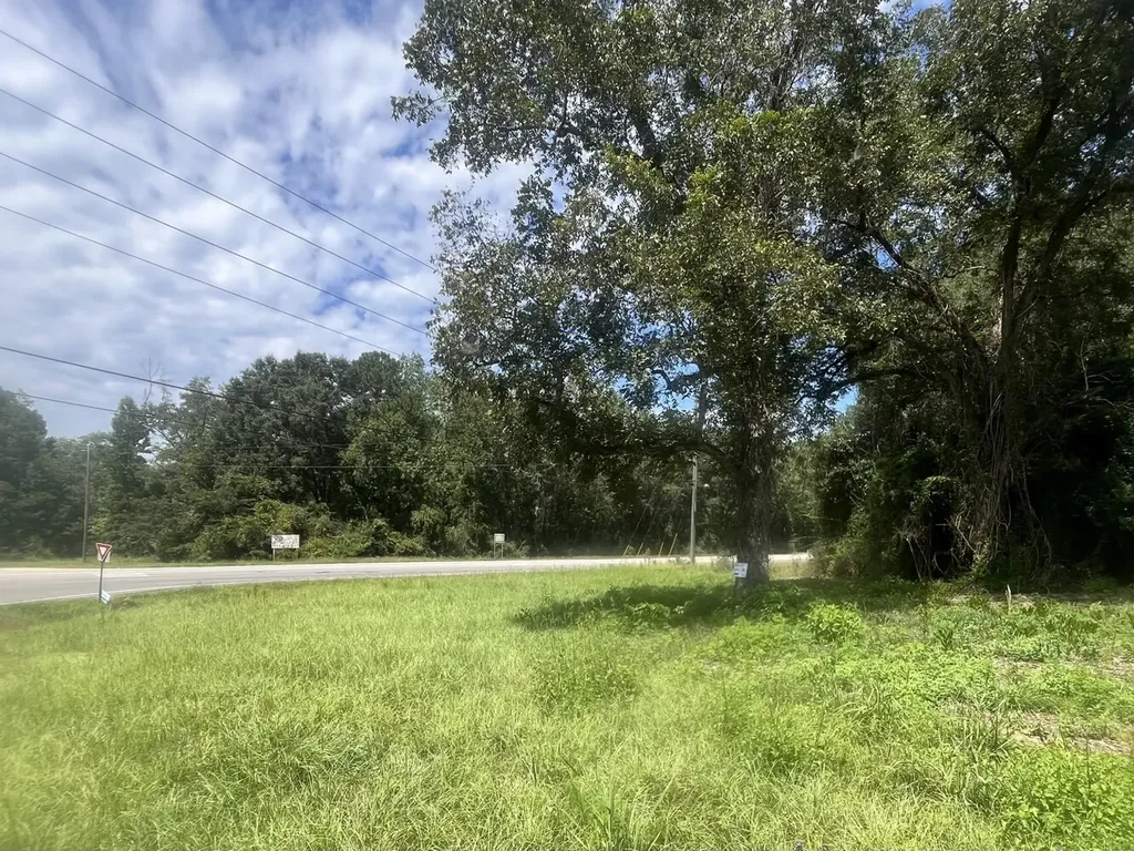 0 N State Highway 167 New Brockton AL 36351