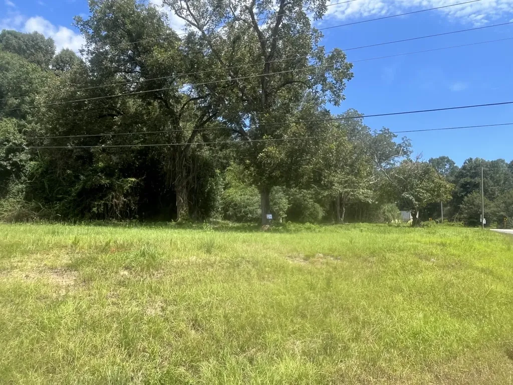 0 N State Highway 167 New Brockton AL 36351