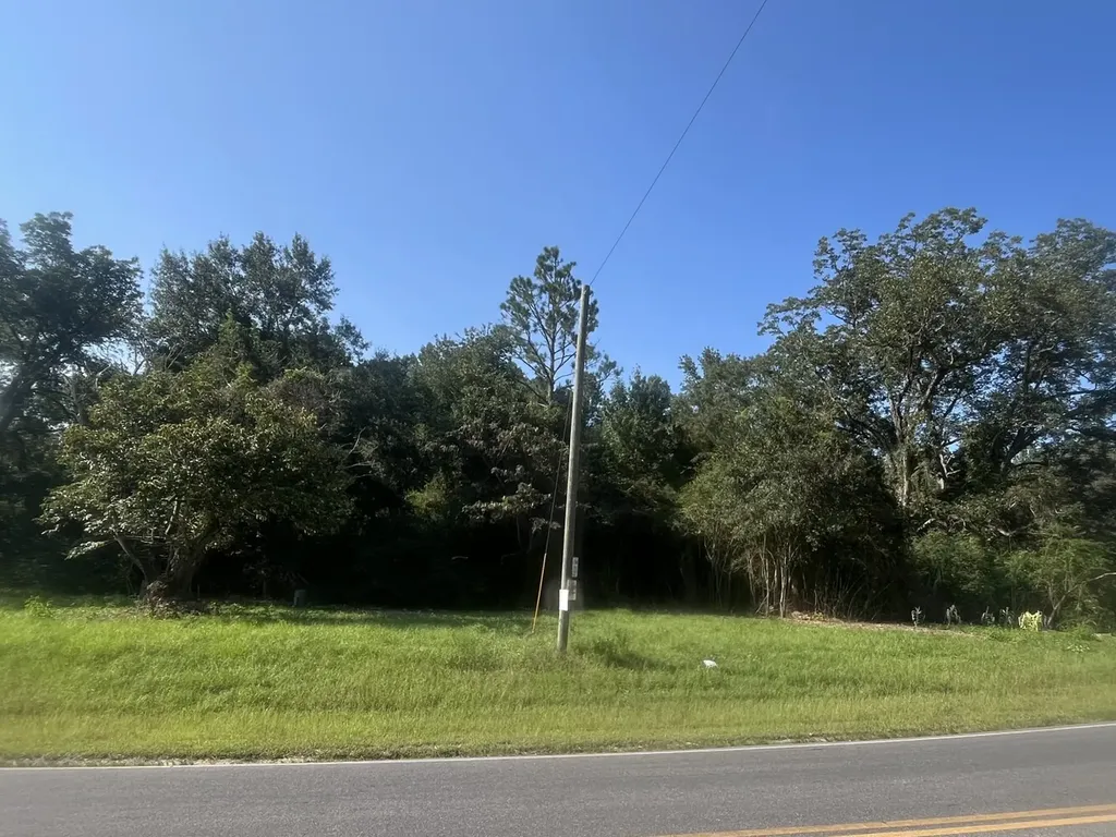 0 N State Highway 167 New Brockton AL 36351