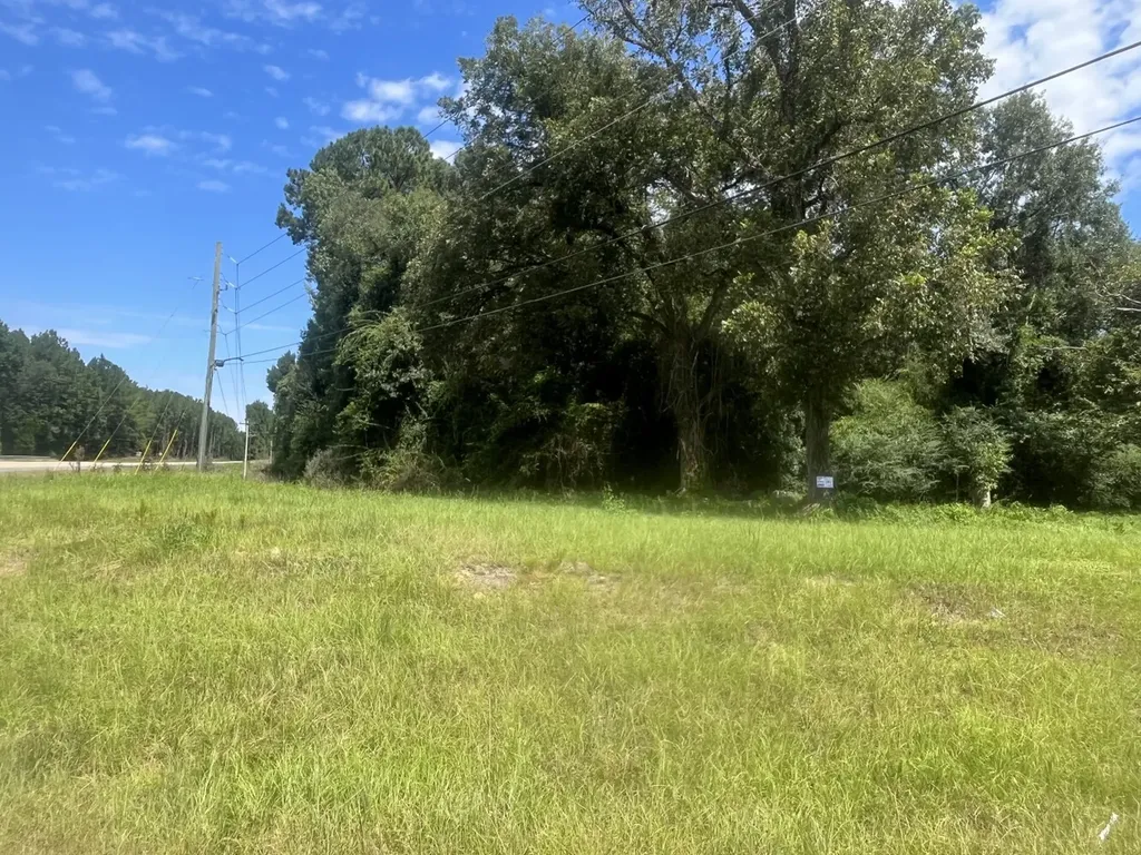 0 N State Highway 167 New Brockton AL 36351