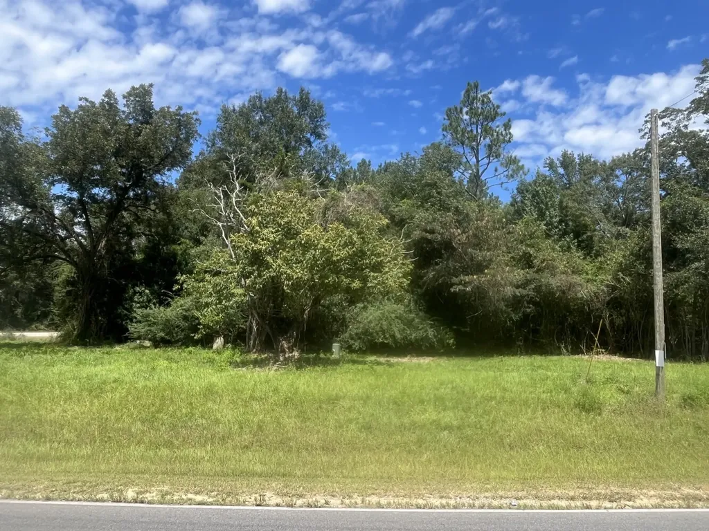 0 N State Highway 167 New Brockton AL 36351