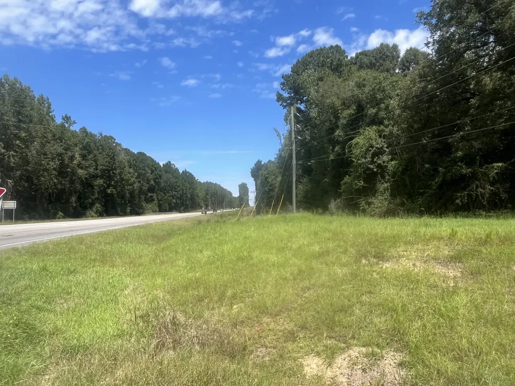 0 N State Highway 167 New Brockton AL 36351