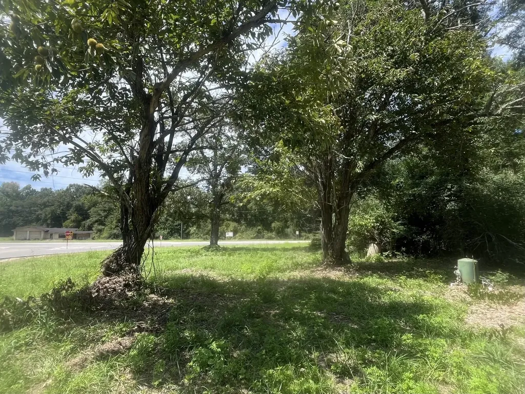 0 N State Highway 167 New Brockton AL 36351