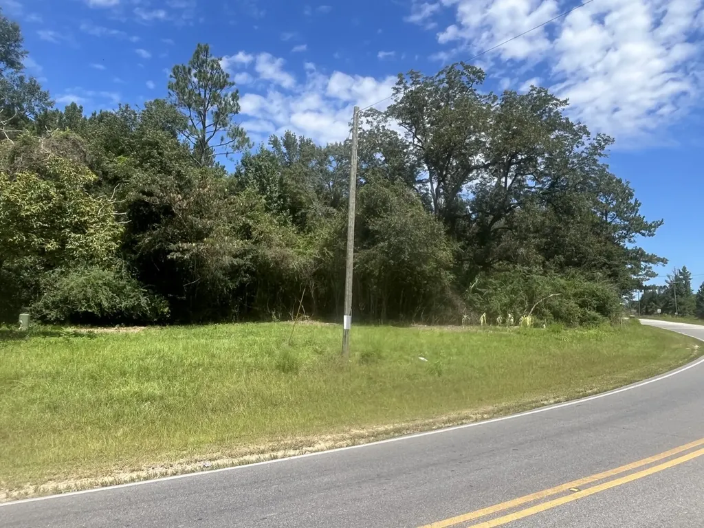 0 N State Highway 167 New Brockton AL 36351